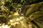 Meredah Hutan Simpan Bukit Sungai Puteh, Cheras, Selangor