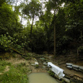 hutan-malaysia18