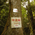 hutan-malaysia19