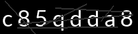 PHP Captcha for Piwigo