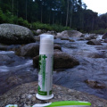 hutan-simpan-raub35
