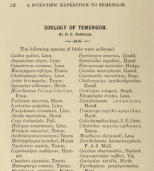 dokumen-ekspedisi-hutan-gerik-1909B